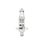 BULB STD H1